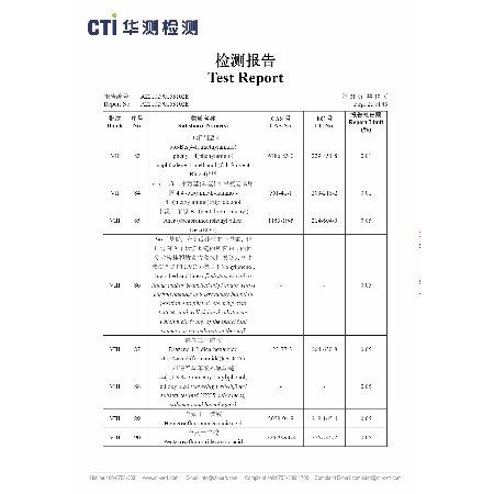 Test Report