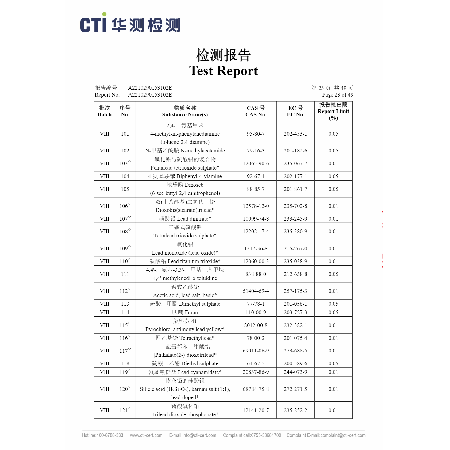 Test Report